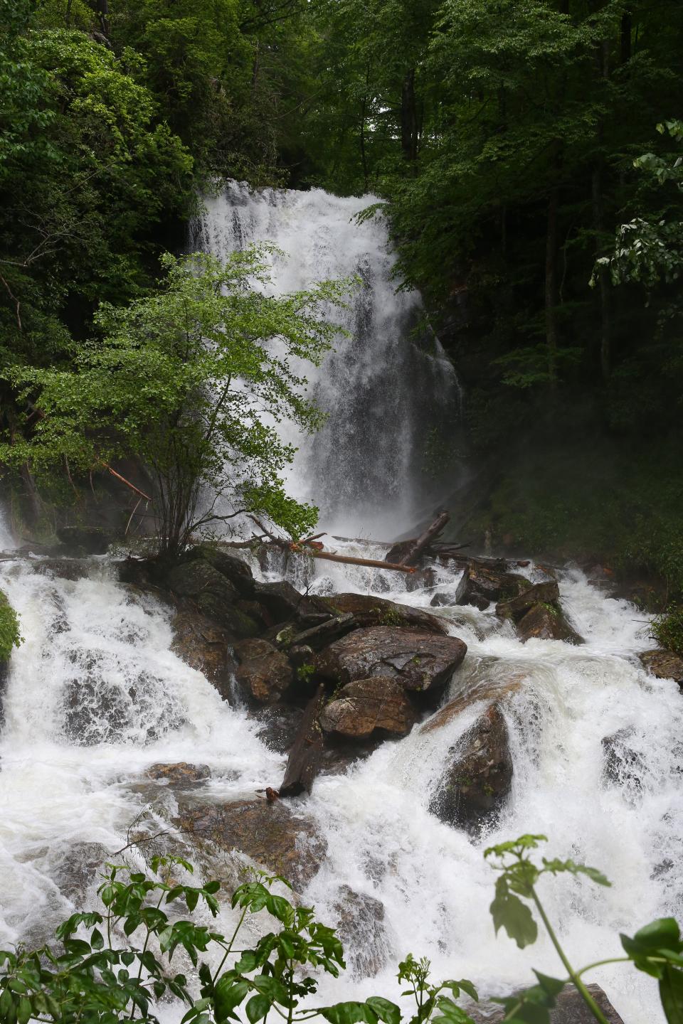 <p>Here are some more photos of Anna Ruby Falls. (Photo by <strong><a href=