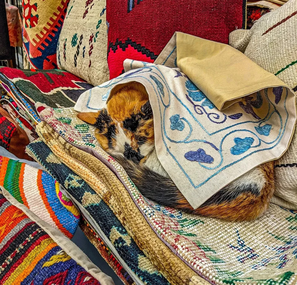 A cat sleeping on a pile of brightly colored fabrics. Someone has covered the cat. 