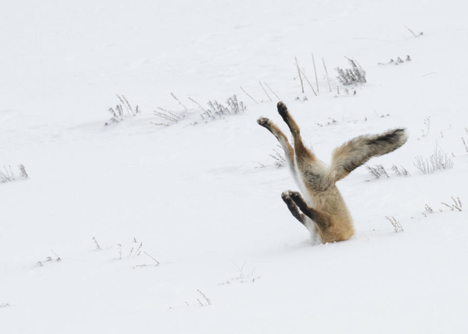 Face plant