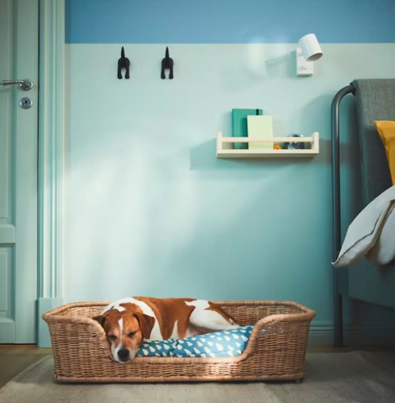 Cute rattan dog bed. <p>Ikea</p>