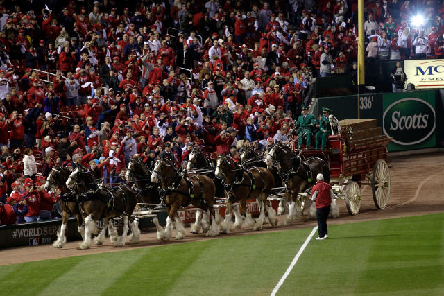 Texas Rangers Elvis Andrus, #1, Neftali Feliz, #30, and Alexi