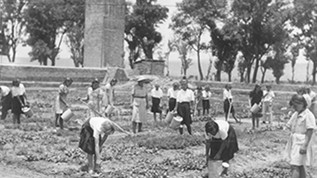 Cultivando en la finca Santa Rosa