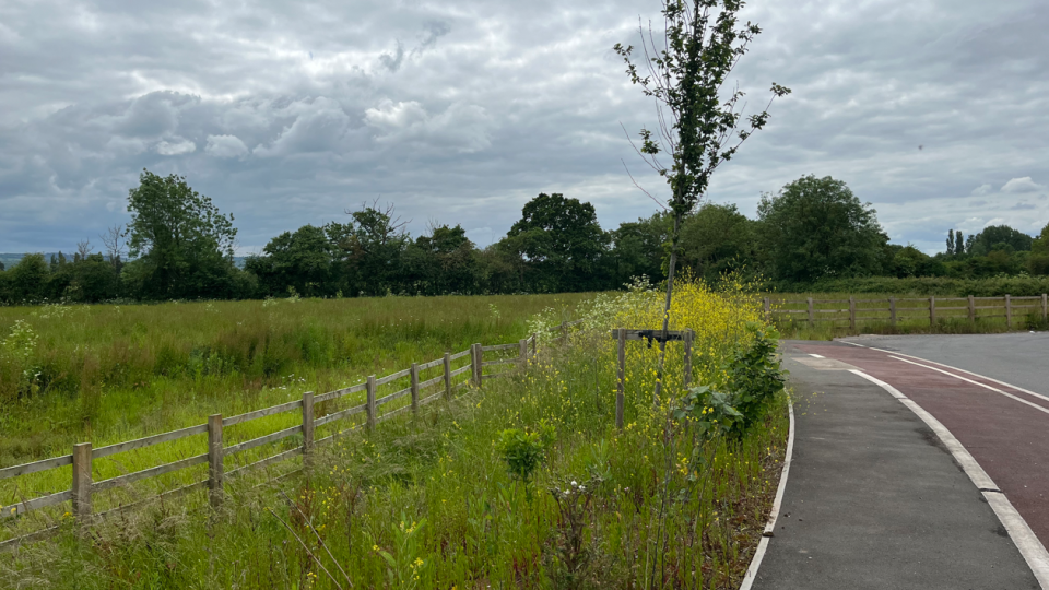 Access road leading to Nexus 25