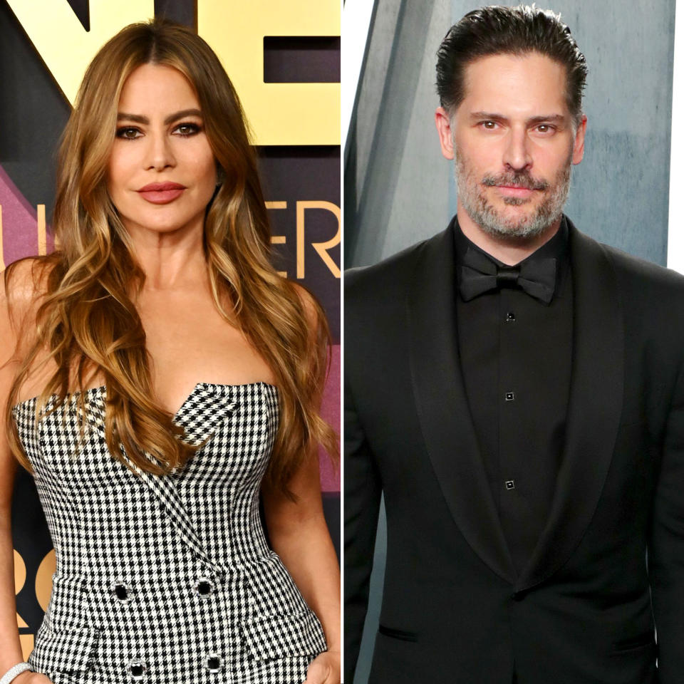 Sofia Vergara is asking the court to support Joe Manganiello-Prinnope and keep her earnings