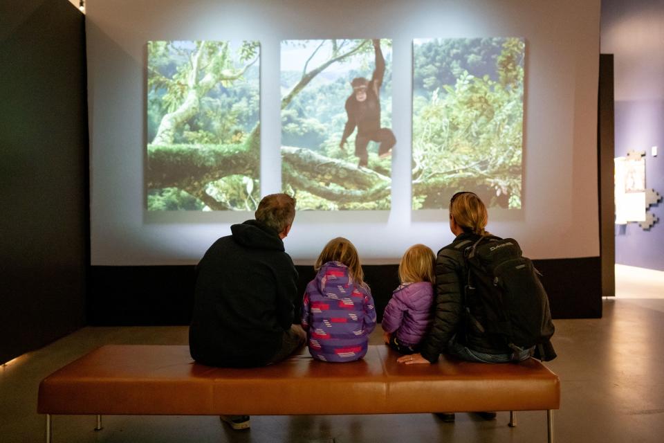 Shane and Kelly and their children Quinn, 6, and Neeve, 2, watch a video while touring the new exhibit “Becoming Jane: The Evolution of Dr. Jane Goodall” at the Natural History Museum of Utah in Salt Lake City on Saturday, Dec. 9, 2023. | Spenser Heaps, Deseret News