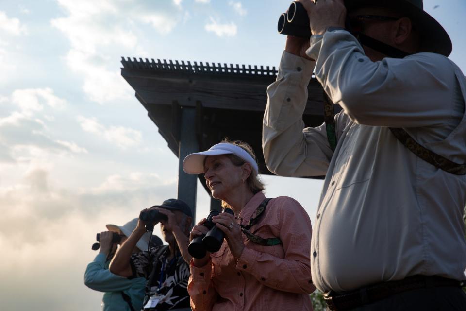 Birder Mary Hill, center, lowers her binoculars to look at Oso Bay Wetlands at a preserve during a Birdiest Festival in America tour group event on Thursday in Corpus Christi.