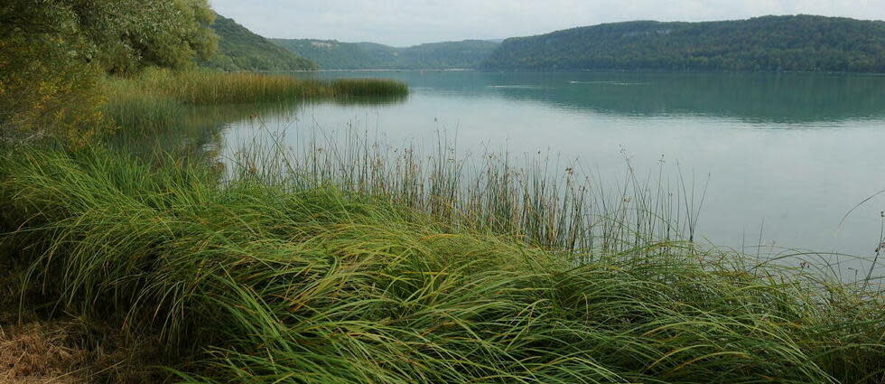 Le lac de Chalain (illustration)
