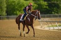 Preakness Stakes entrant Mage works out ahead of the 148th running of the Preakness Stakes horse race at Pimlico Race Course, Wednesday, May 17, 2023, in Baltimore. (AP Photo/Julio Cortez)