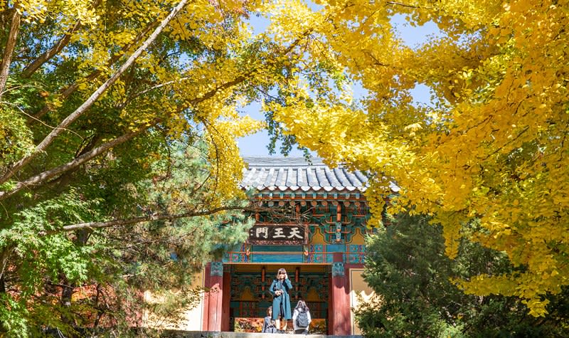 浮石寺