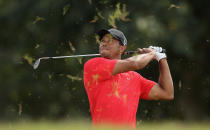 MIAMI, FL - MARCH 11: Tiger Woods plays a shot from the rough on the fifth during the final round of the World Golf Championships-Cadillac Championship on the TPC Blue Monster at Doral Golf Resort And Spa on March 11, 2012 in Miami, Florida. (Photo by Scott Halleran/Getty Images)