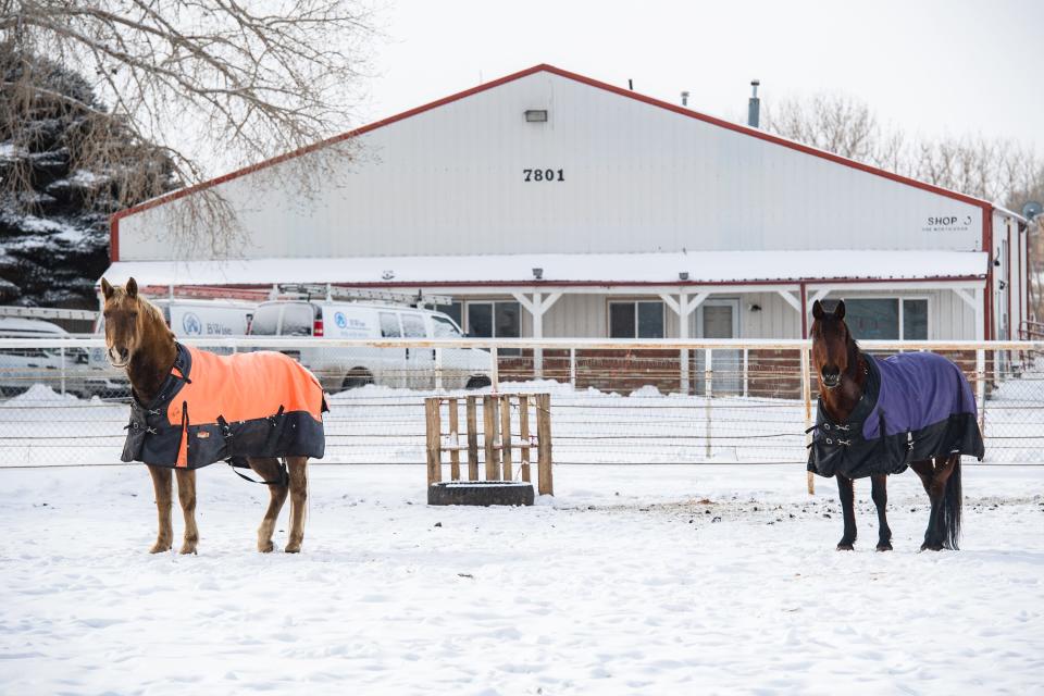 Horses wear blankets in the snow along Southwest Frontage Road near the Northern Colorado Regional Airport on Monday, Jan. 30, 2023, in Loveland, Colo. The day brought light snow and daytime highs of around 10 degrees.