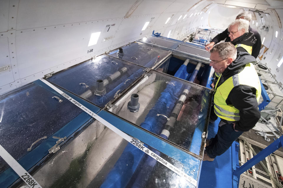 Two Beluga whales touch down at Keflavík Airport in Iceland, Wednesday, June 19, 2019, where they are being re-homed in an open-water sanctuary after spending years in captivity in a Shanghai aquarium. The Cargolux Boeing 747-400ERF freighter aircraft carried Little White and Little Grey 6,000 miles as part of a groundbreaking project by Sea Life Trust. (Aaron Chown/PA via AP)