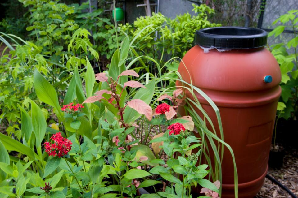 A rain barrel is an ideal way to keep rainwater out of your garden by collecting it and using it later for irrigation.