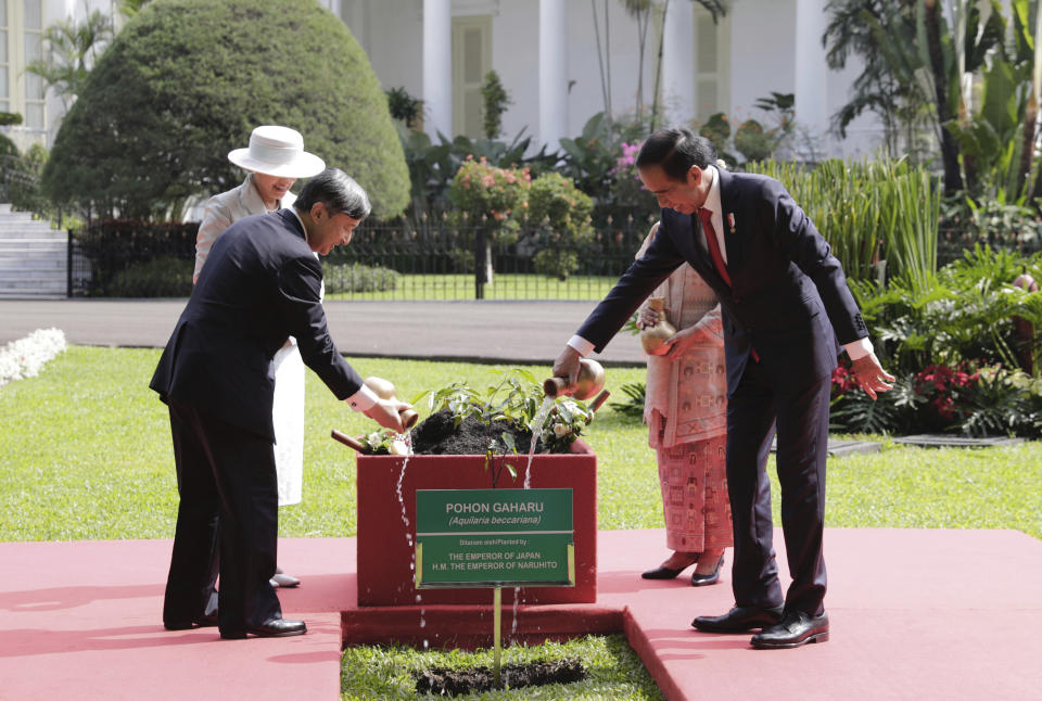 Japan's Emperor Naruhito, front left, Empress Masako, rear left, Indonesian President Joko Widodo, right and his wife Iriana attend a tree planting ceremony during their meeting at Bogor Palace in Bogor, West Java, Indonesia, Monday, June 19, 2023. (Adi Weda/Pool Photo via AP)
