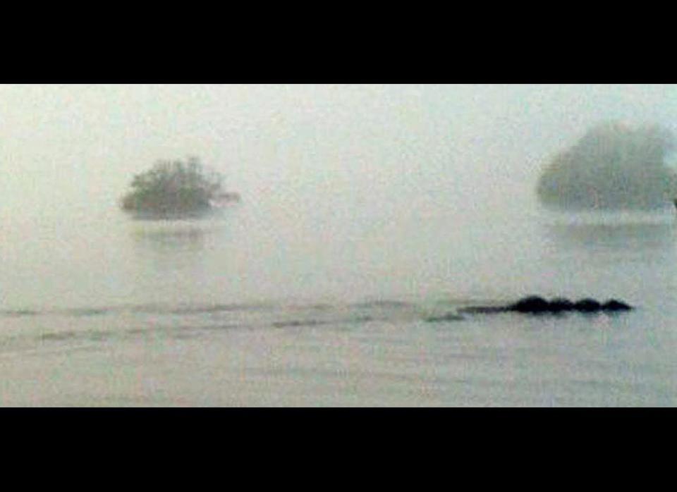 In England, a kayaker took this photo on Lake Windemere, near Bowness in Cumbria. "At a distance, I thought it was some sort of large dog," said Tom Pickles. "Then I realized just how long it was." Ever since the first reports of Bow-Nessie emerged in 2006 from Lake Windermere, a legend has taken root with people wondering if this could be a not-too-distant relative of the legendary Loch Ness Monster of Scotland.