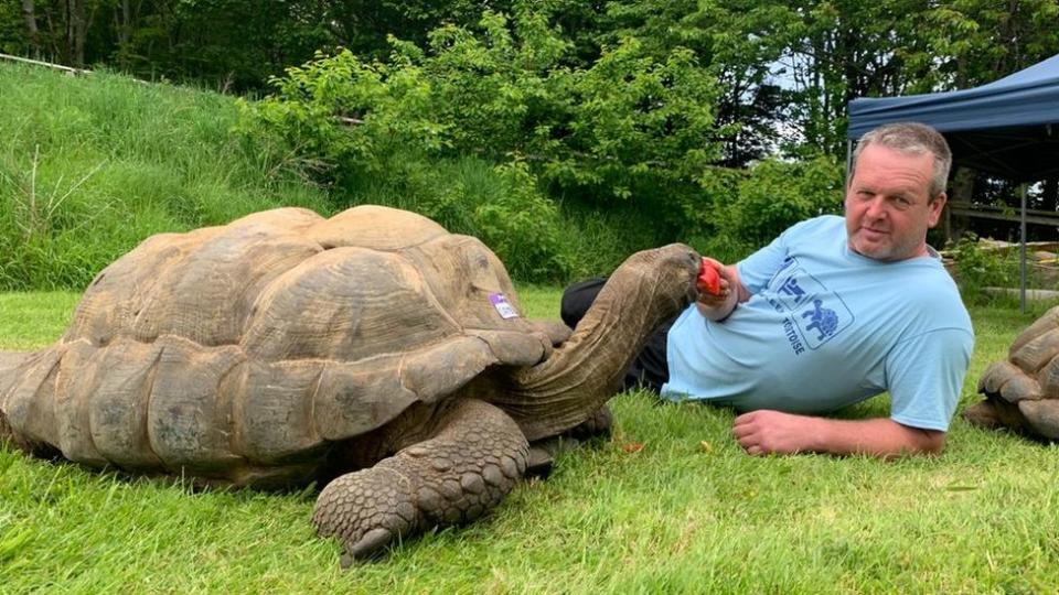 An Aldabra Tortoise and its owner