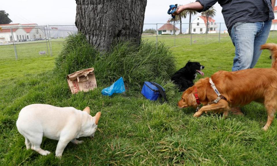 A dog owner and pets at the rally site. Protesters had organized to fill the field with dog feces in anticipation of the event.