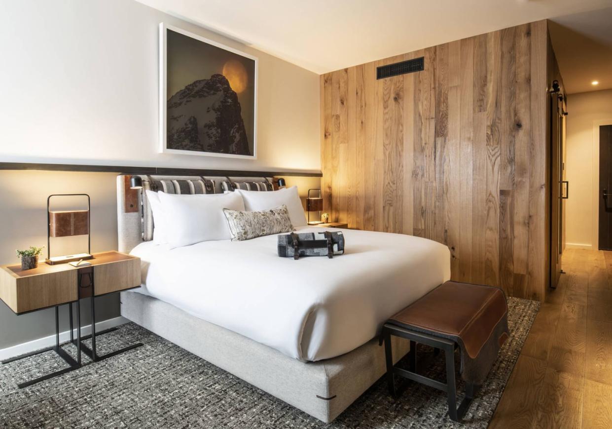 hotel rustic room with mountian art