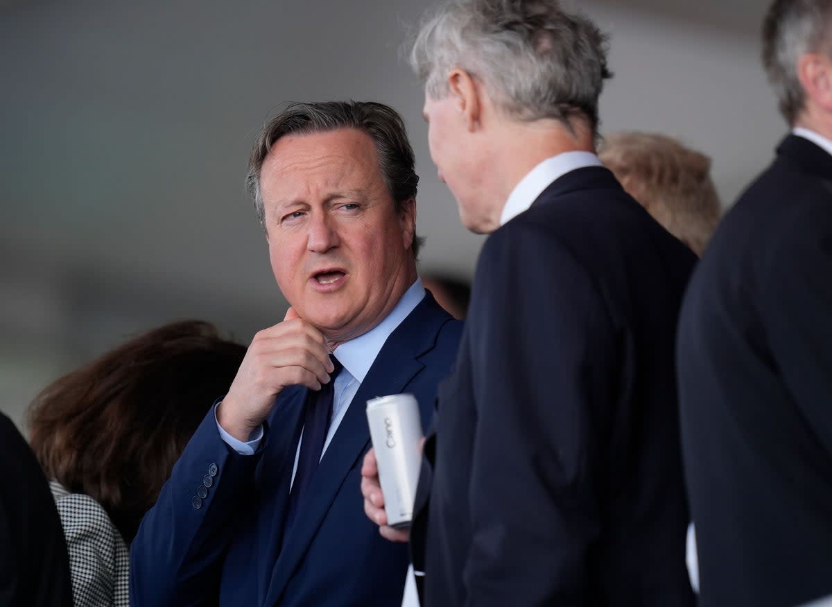 David Cameron has been targeted in a hoax video scam  (Andrew Matthews/PA Wire)