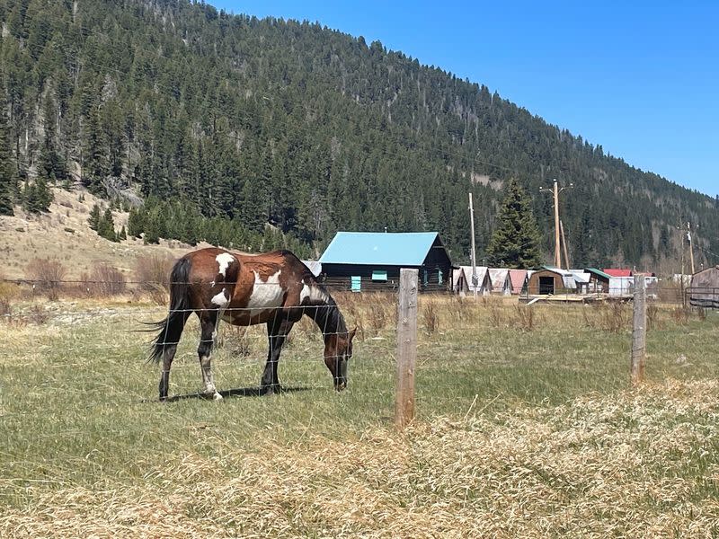 ‘No good place to stop it’: More villages flee New Mexico wildfire