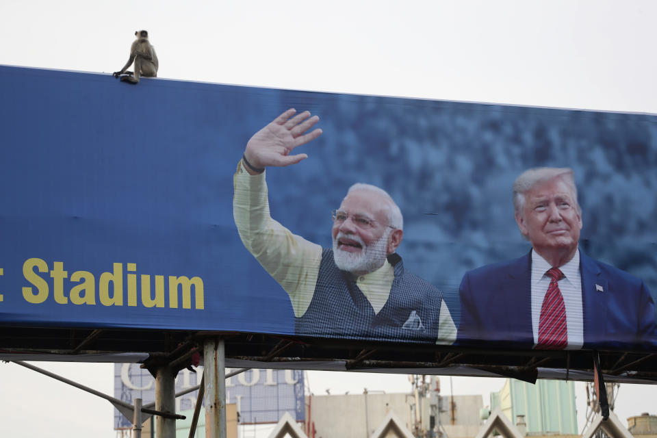 FILE- In this Feb. 19, 2020, file photo, a monkey sits on a hoarding welcoming U.S. President Donald Trump ahead of his visit to Ahmedabad, India. A festive mood has enveloped Ahmedabad in India’s northwestern state of Gujarat ahead of Prime Minister Narendra Modi's meeting Monday with U.S. President Donald Trump, whom he's promised millions of adoring fans. The rally in Modi's home state may help replace his association with deadly anti-Muslim riots in 2002 that landed him with a U.S. travel ban. It may also distract Indians, at least temporarily, from a slumping economy and ongoing protests over a citizenship law that excludes Muslims, but also risks reopening old wounds. (AP Photo/Ajit Solanki, File)