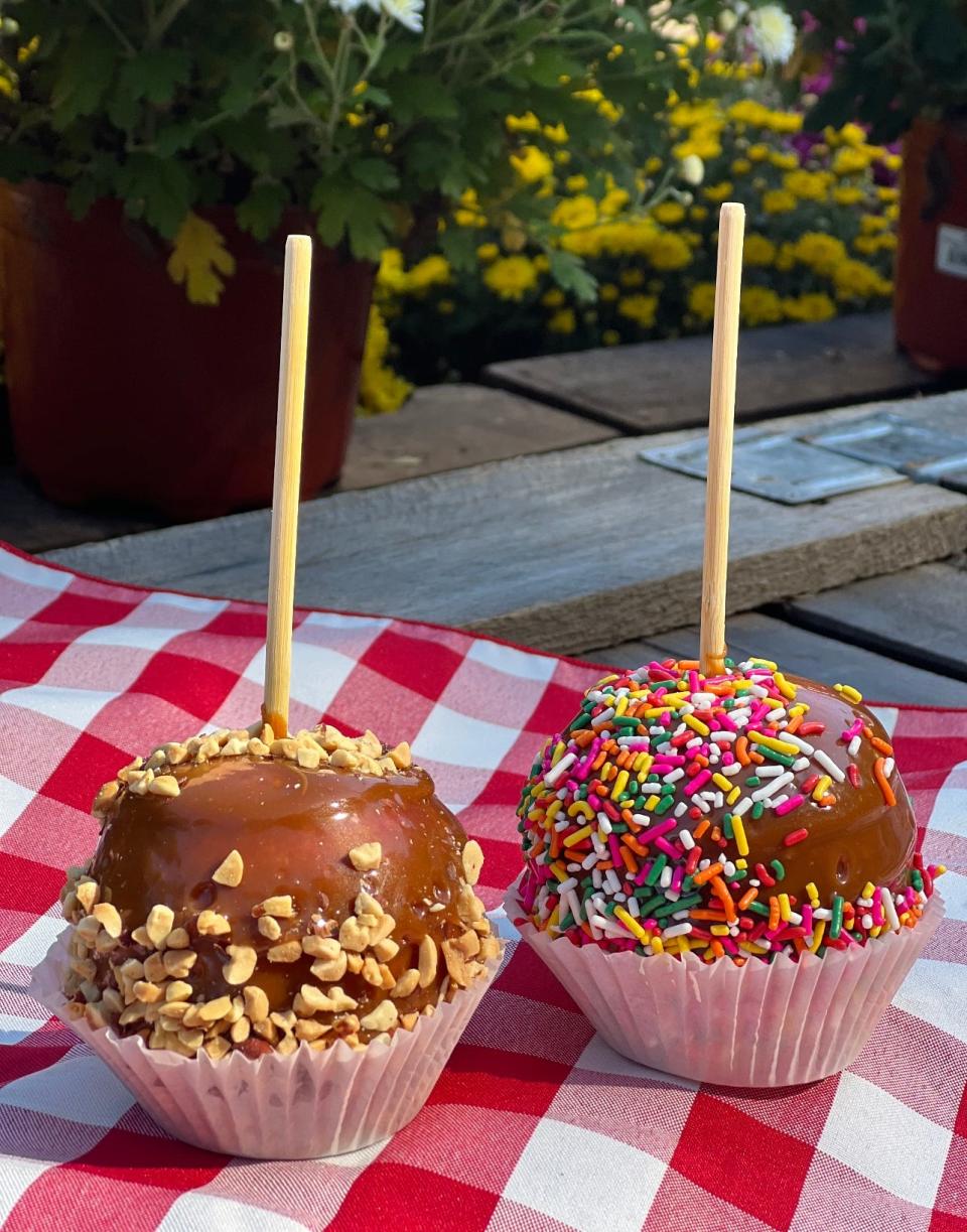 Nut and sprinkle covered caramel apples from Battleview Orchards in Freehold.