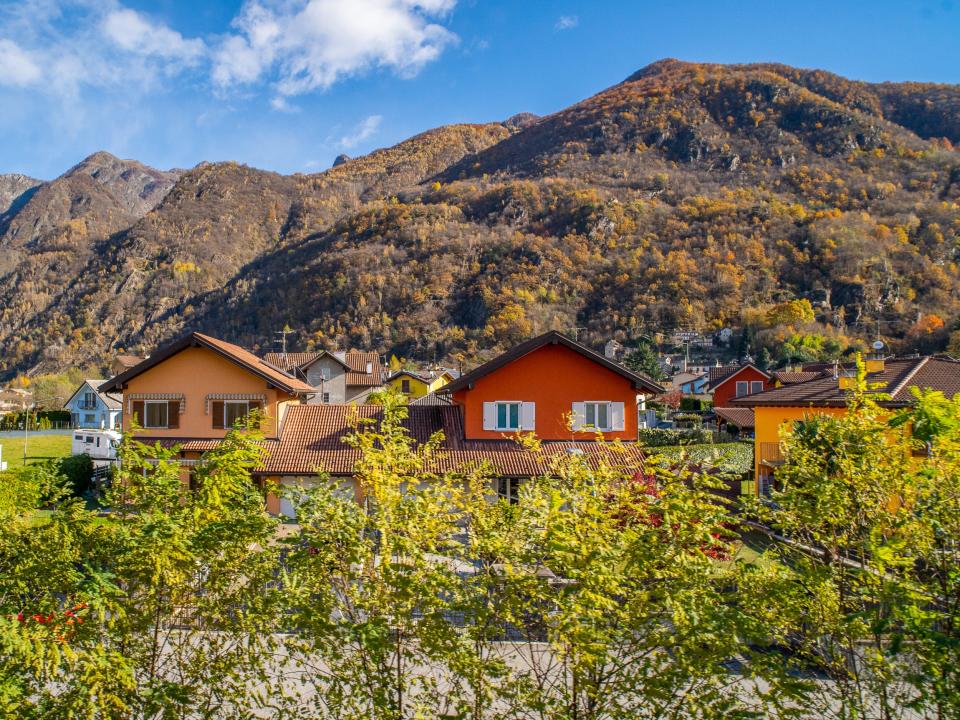 foliage in front of colorful houses in front of a mountain