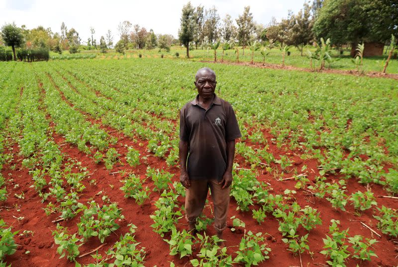 Harris Njuki, 65, a farmer poses for a photograph at his genetically modified pest resistant Bt cotton variety farm, in Kimbimbi village of Kirinyaga