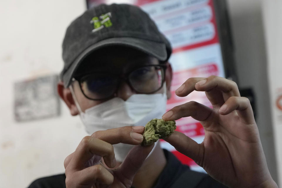Highland Cafe's first customer of the day Rittipomng Bachkul shows a piece of marijuana in Bangkok, Thailand, Thursday, June 9, 2022. Measures to legalize cannabis became effective Thursday, paving the way for medical and personal use of all parts of cannabis plants, including flowers and seeds. (AP Photo/Sakchai Lalit)