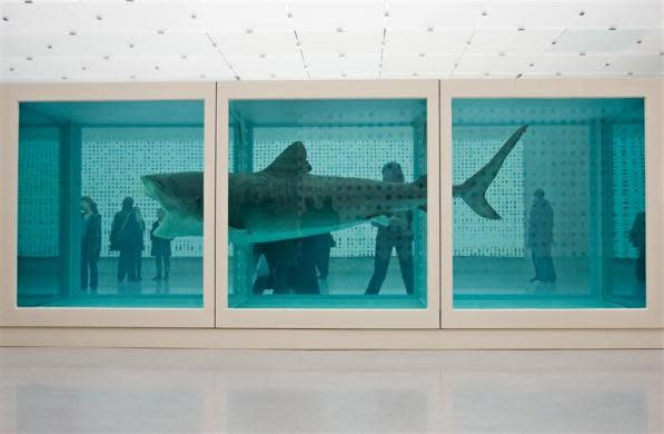 Visitors walk behind a work by British artist Damien Hirst titled "The Physical Impossibility of Death in the Mind of Someone Living" at the Kunsthaus in Bregenz February 17, 2007.