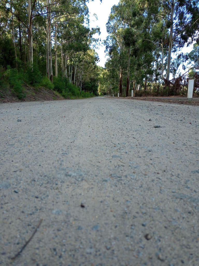 Camino "misterioso" o "encantado", el cual un auto en punto muerto suele moverse haca atrás en plena calle plana