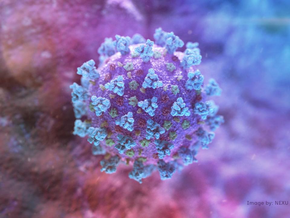 A computer image created by Nexu Science Communication together with Trinity College in Dublin, shows a model structurally representative of a betacoronavirus which is the type of virus linked to COVID-19, better known as the coronavirus linked to the Wuhan outbreak, shared with Reuters on February 18, 2020. NEXU Science Communication/via REUTERS 