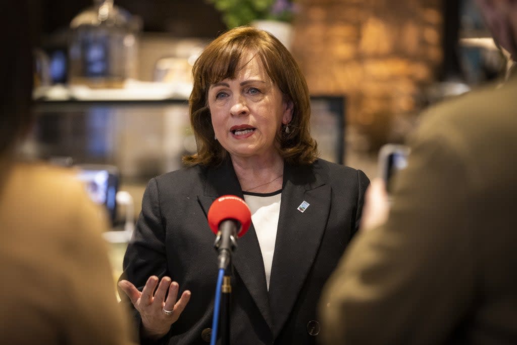 DUP MLA Diane Dodds (Liam McBurney/PA) (PA Archive)