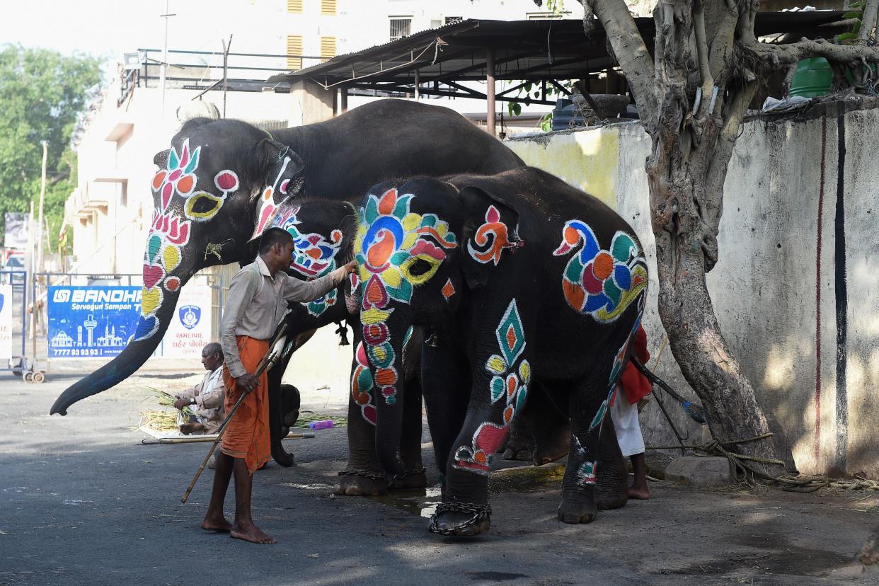 A Mahout is seen with decorated elephants on the eve of the annual Rath Yatra of Lord Jagannath festival in Ahmedabad on June 22, 2020. (Photo by SAM PANTHAKY/AFP via Getty Images)