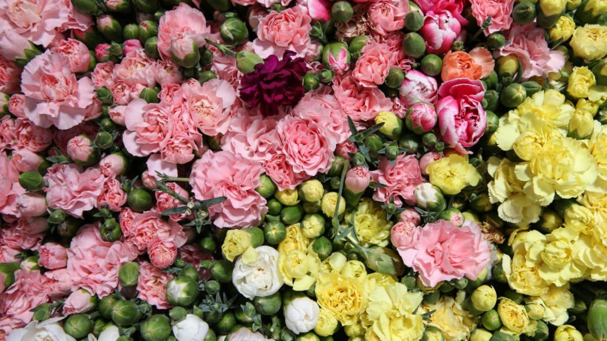 <div>Cut flowers are prepared to put on sale for the Mothers Day, in Antalya, Turkey on April 29, 2022. Flowers produced in greenhouses are collected and packed in warehouses and are prepared for domestic and foreign markets. (Photo by Orhan Cicek/Anadolu Agency via Getty Images)</div>