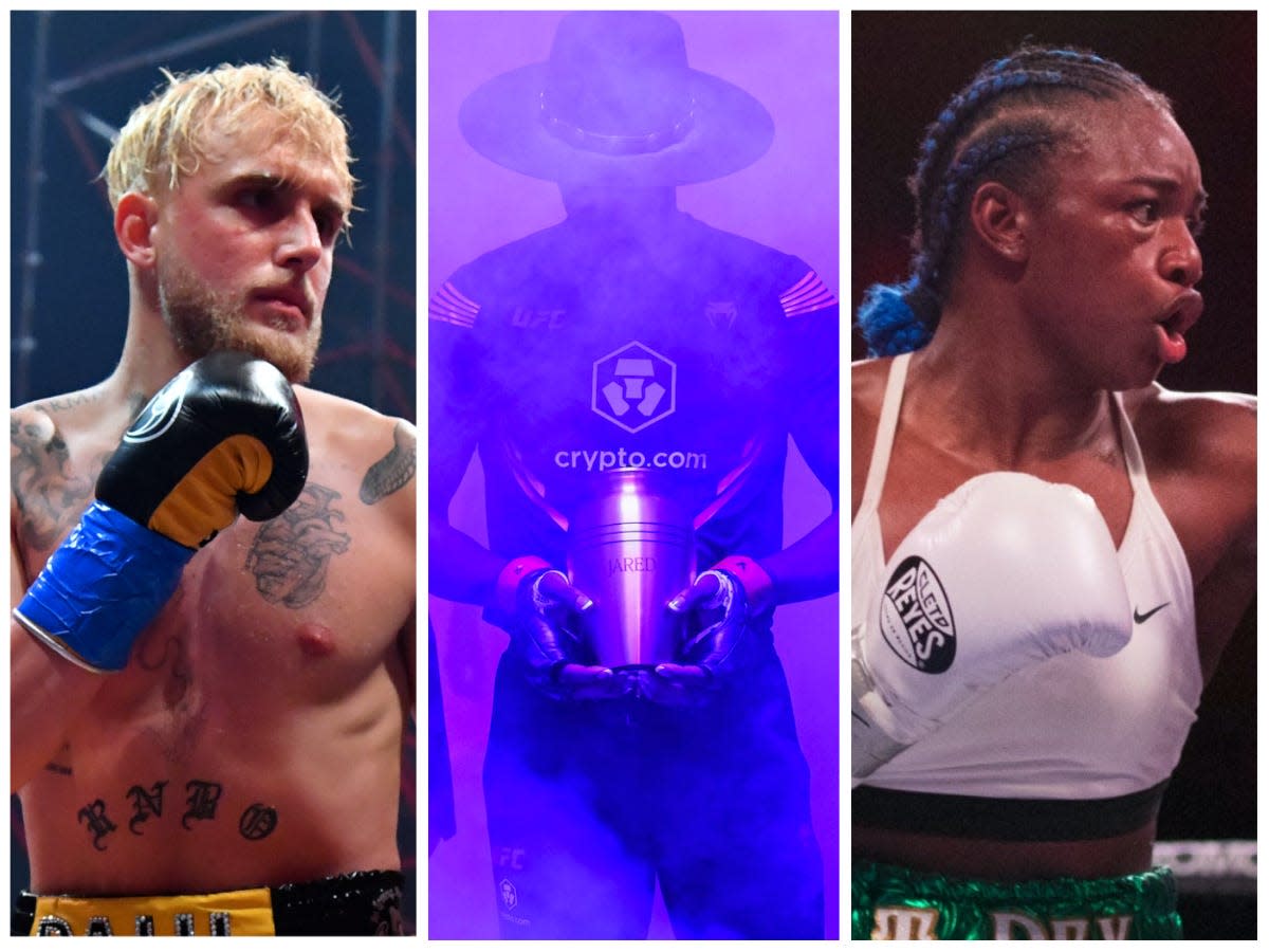 What are the biggest best fights of the year 2022.