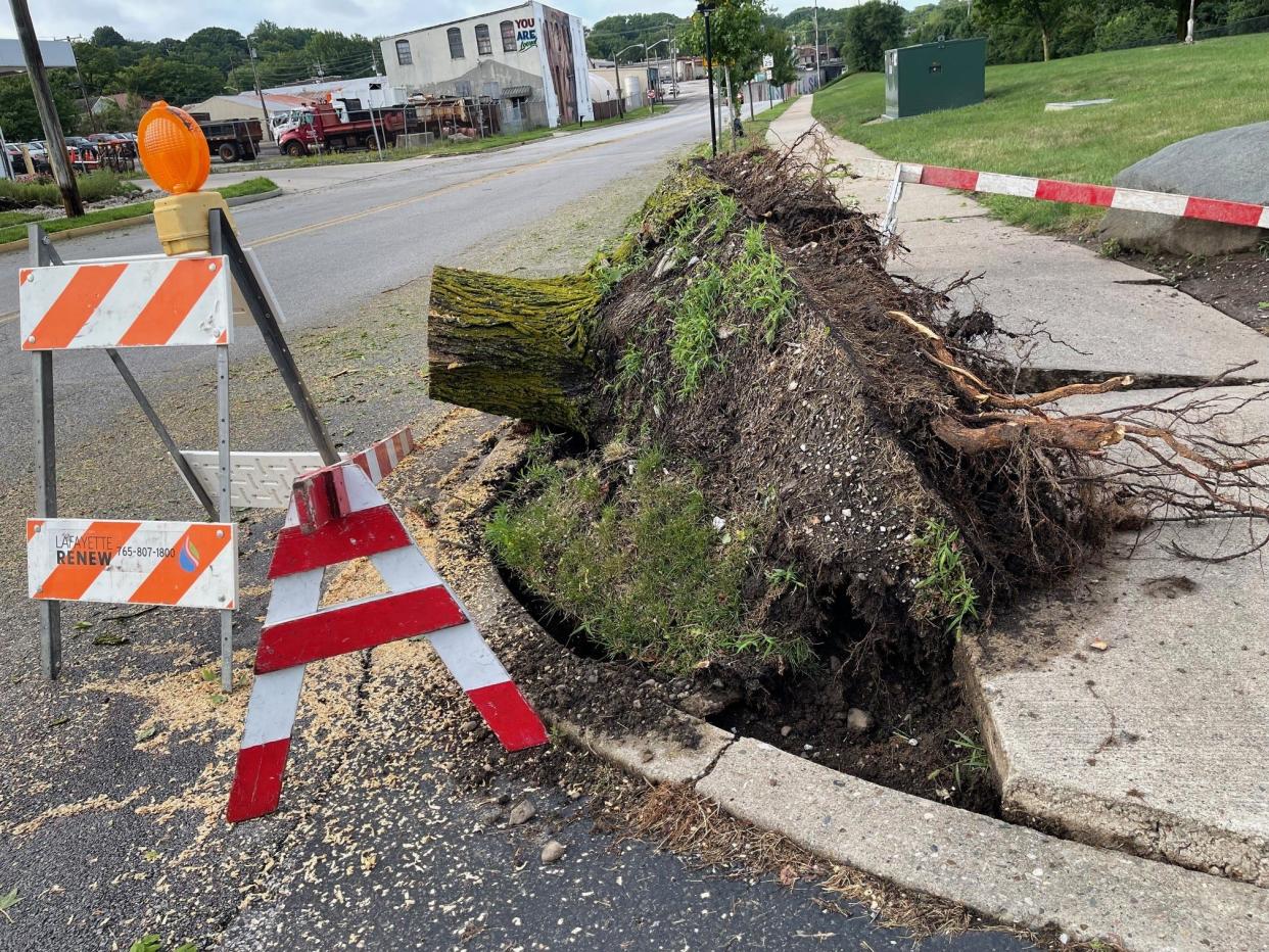 A tree on the southwest corner of Second and Alabama streets did not survive early morning storms on Tuesday, July 16, 2024. Winds appear to have been blown over the tree, but by 8:30 a.m. Tuesday, city crews had cut it up and removed it from the street.