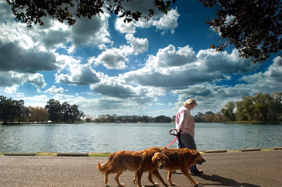 Under a canopy of cloudy skies Ann Bauer of Lodi walks her dogs Dudley, left, and Goliath around Lodi Lake in Lodi.