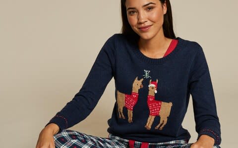 Fat Face Alpaca Placement Christmas Jumper - Credit: Fat Face