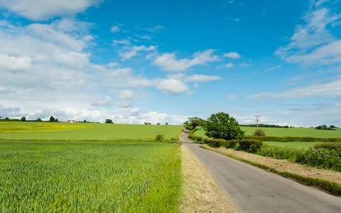 What did you expect in the 'Green Belt'? - Credit: istock