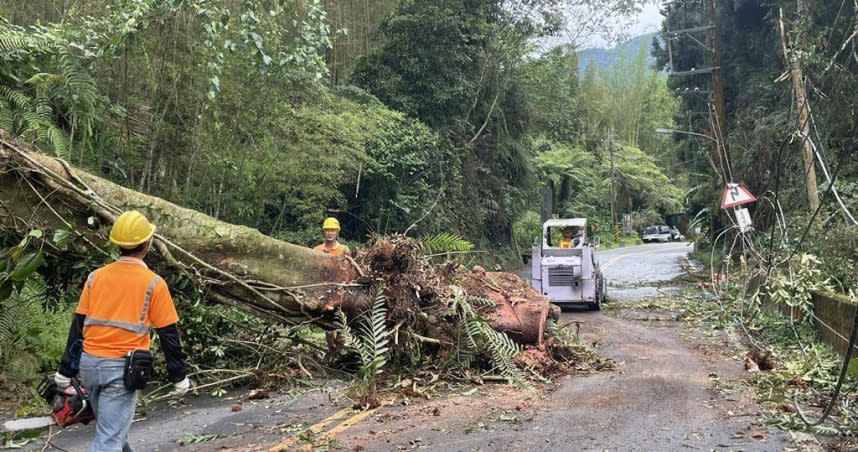 南投縣鹿谷山區28日下午1點多傳出大樹倒塌壓斷高壓線，造成2257戶停電，經台電派出10名工作人員加緊搶修，晚間7時復電完畢。（圖／台電南投區處提供）