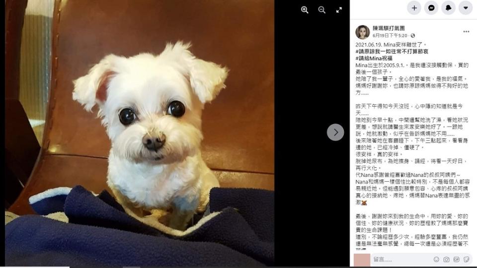 陳珮騏在臉書分享與愛犬Mina的相識。（圖／翻攝自陳珮騏打氣團臉書）