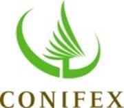 Conifex Timber Inc