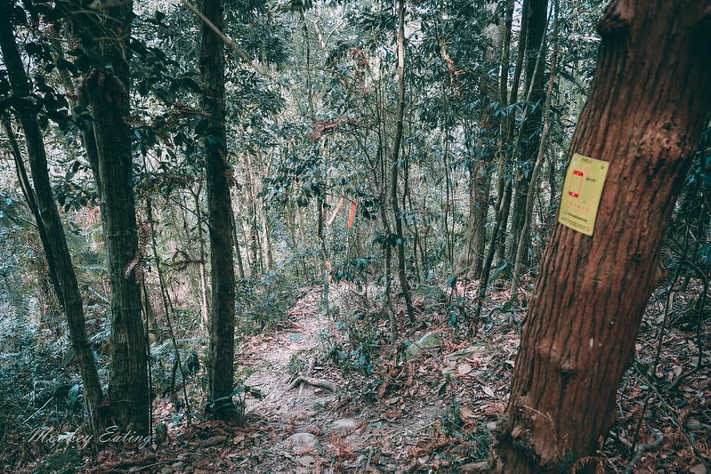 台中｜谷關七雄 白毛山步道