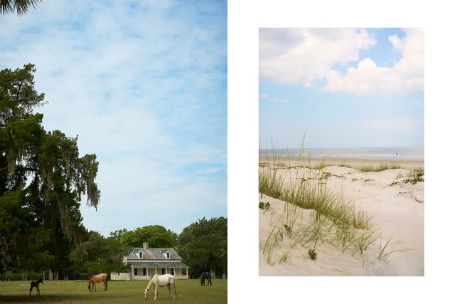 <p>Lindsey Harris Shorter</p> From left: Wild horses grazing on Cumberland Island; a stretch of Cumberland's sand dunes.