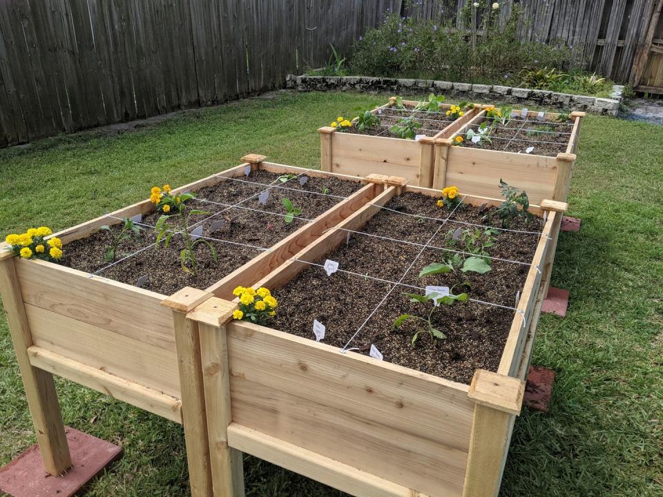 raised garden bed ideas