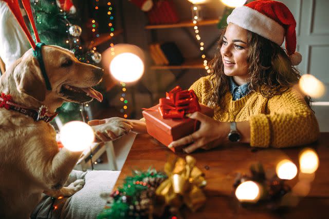 <p>Getty</p> Dog and Christmas presents by tree.