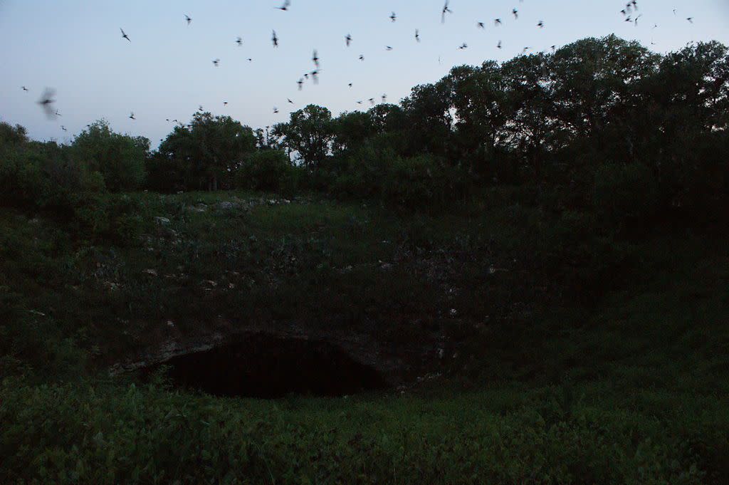 Bracken Cave