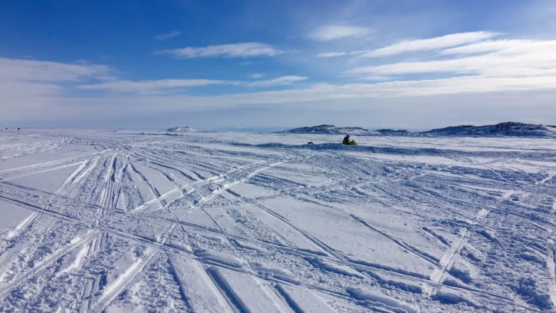 'Out of time': Scientists sound alarm ahead of White House Arctic meeting