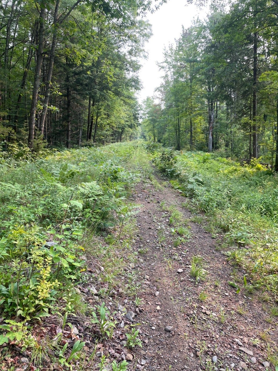 This green, woodsy stretch will be part of an 11-mile expansion of the Eastern Trail from Kennebunk to North Berwick.